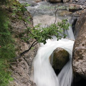 Rosengartenschlucht