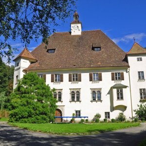 Schloss Wiesenau - Bad St.Leonhard im Lavanttal (Kärnten)