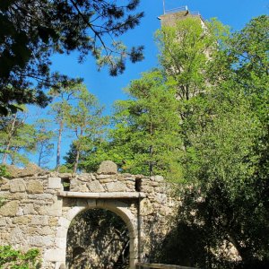 Tor zum Vorwerk der Burgruine Arbesbach