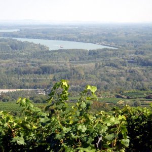 In der Ferne 2