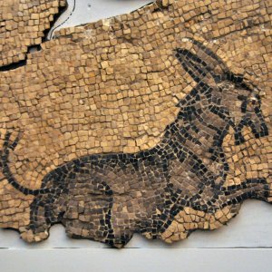 Detail der Mosaiken der 'aula nord' in Aquileia