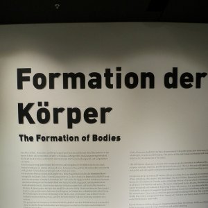 Formation der Körper I