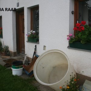 Äpfel klauben am Bergbauernhof in Opponitz