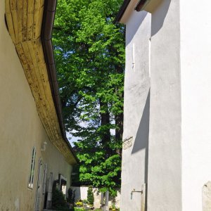 Obermühlbach (Bez. St.Veit an der Glan)