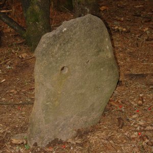 Lochstein beim Klugveitl - Bildstock