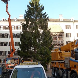 Christbaum Innsbruck