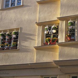 Advent  im Gemeindebau Sandleitenhof