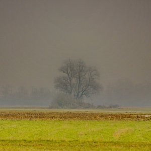 Herbstansicht