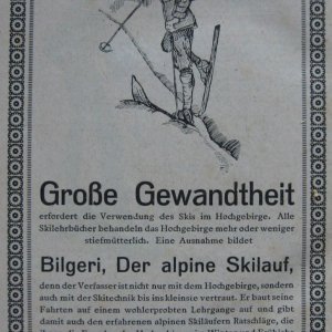 Lehrbuch "Alpiner Schilauf"