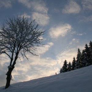 Winterzauber im Ybbstal