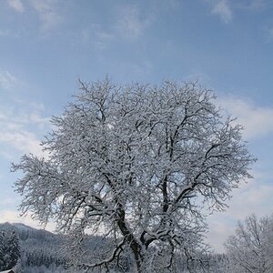 Winterzauber im Ybbstal