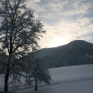 Winterzauber im Ybbstal