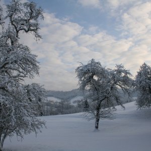 Winterzauber im Ybbstal