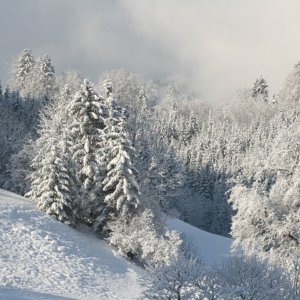 Winterzauber in Opponitz