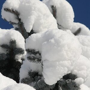 Winterzauber in Opponitz
