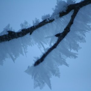 Minus 16 Grad in Opponitz