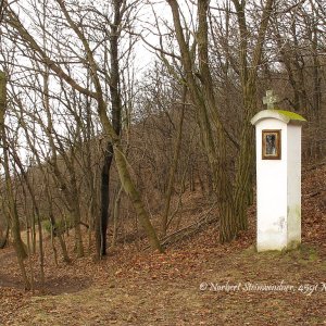 Medium 'Weißes Kreuz am Hundsheimer Berg' in der Kategorie 'Bildstöcke'