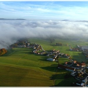 Eugendorf mit dem Wallersee im Hintergrund