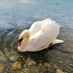 Endlich wieder …
