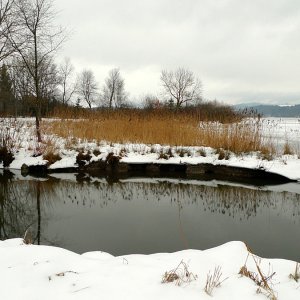 Wallersee - Vor dem Regen - 2