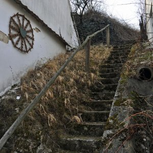 Weinkeller in Zöbing im Kamptal (NÖ)