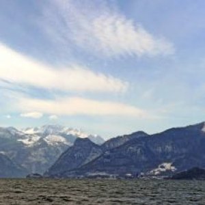 Der Traunsee