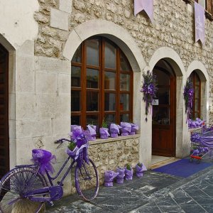 Venzone (Friaul-Italien) - Lavendelverkauf