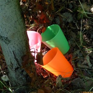 bunte Becher