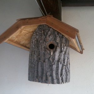 Nistkasten Natur