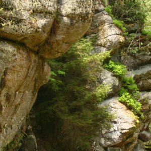 Stillensteinklamm in Grein