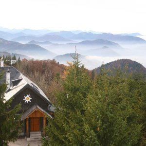 Brochenberg in Ybbsitz