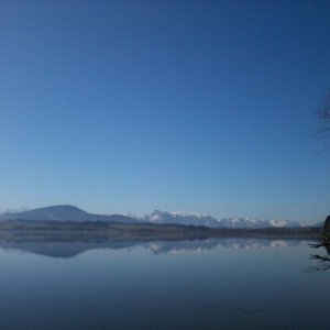 Wallersee im Frühling