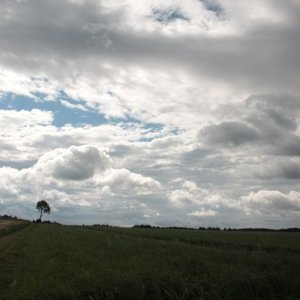 Mohndorf Armschlag im Waldviertel