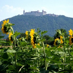 Ausblick 1