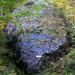 Der Runenstein bei Hallstatt - steinerner Zeuge