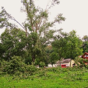 Gewittersturm überm Donausee