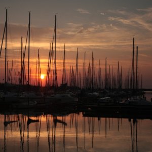 Neusiedlersee