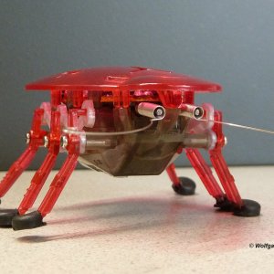 Insektenroboter