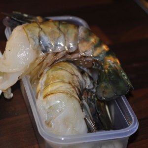 Riesengarnelen vor dem Grillen
