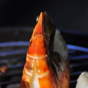Riesengarnelen auf dem Holzkohlengrill - essfertig