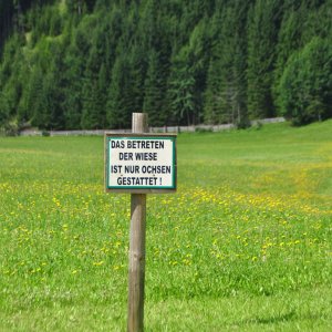 Wiese beim Bodenbauer im Bodental (Kärnten)