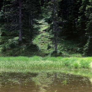 Moorsee