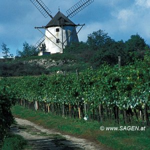 Windmühle Retz