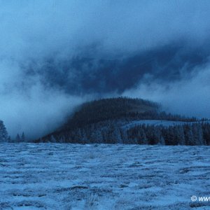 Raureif Nebel Herbst