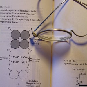 Ein Herz für die Biochemie