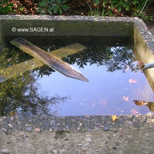 Friedhofsbrunnen Hamburg