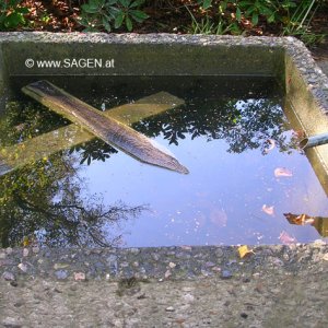 Friedhofsbrunnen Hamburg