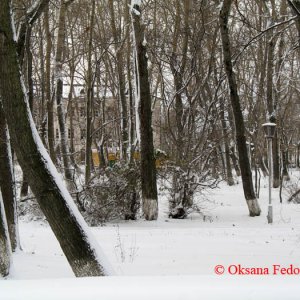 Schnee