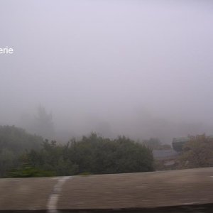 Pass-Straße im dichten Nebel
