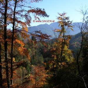 Herbst in Tirol